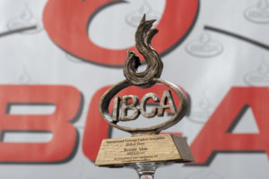 IBCA Hall of Fame Award