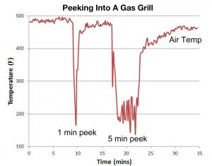 Peeking Gas Grill